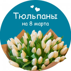 Купить тюльпаны в Александрове